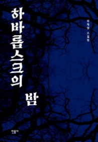 하바롭스크의 밤